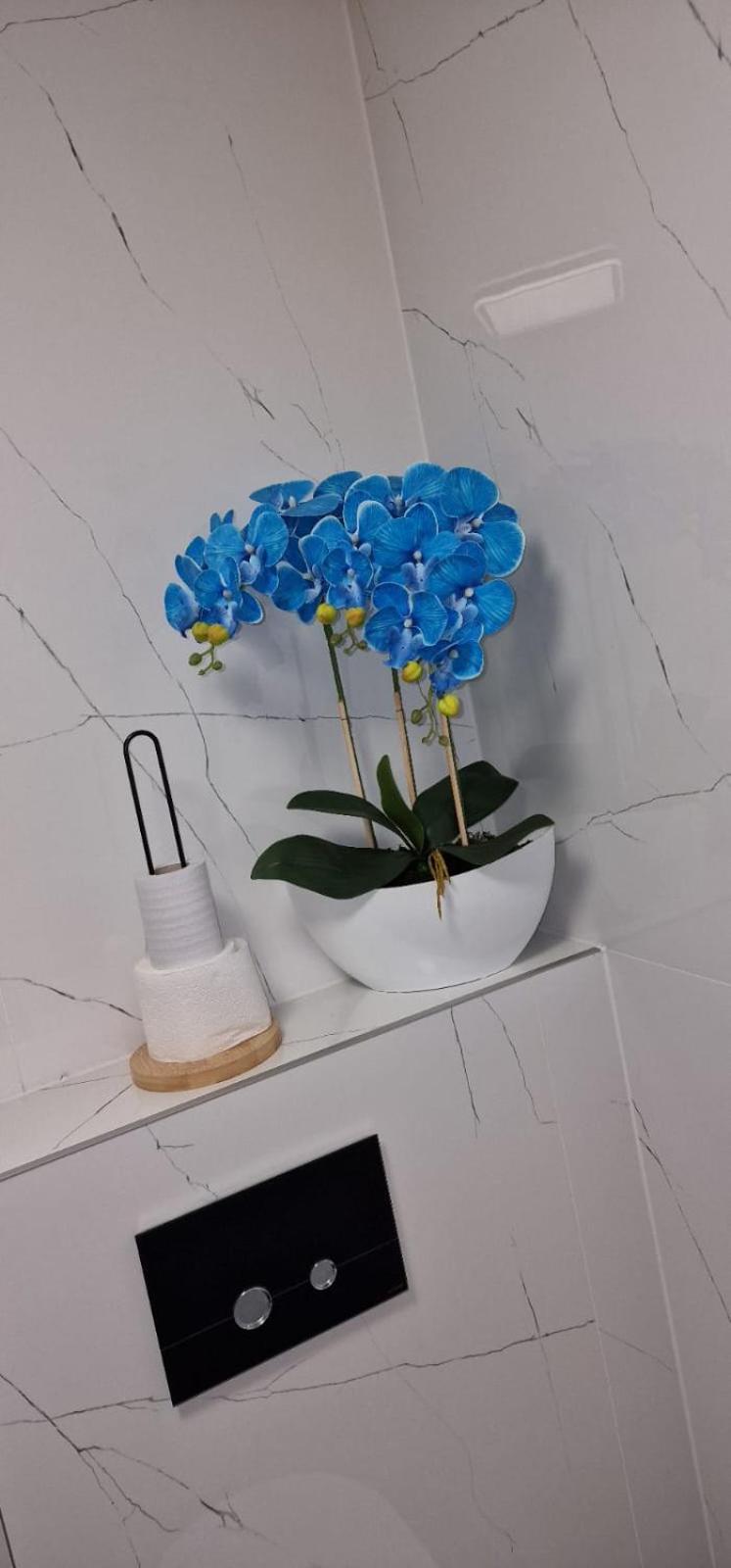Apartament Angel Kołobrzeg